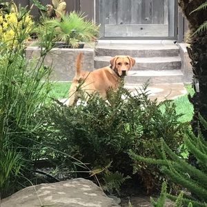 Meet your Posher, Jacqueline